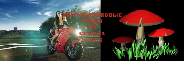 соль курить ск Богородск