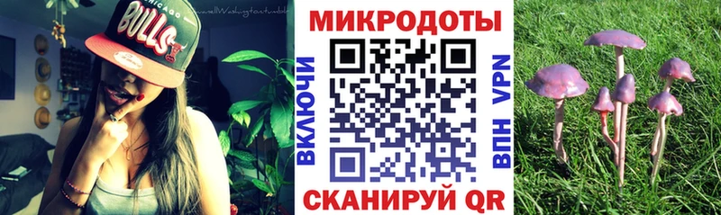 купить   Кострома  Галлюциногенные грибы Psilocybe 